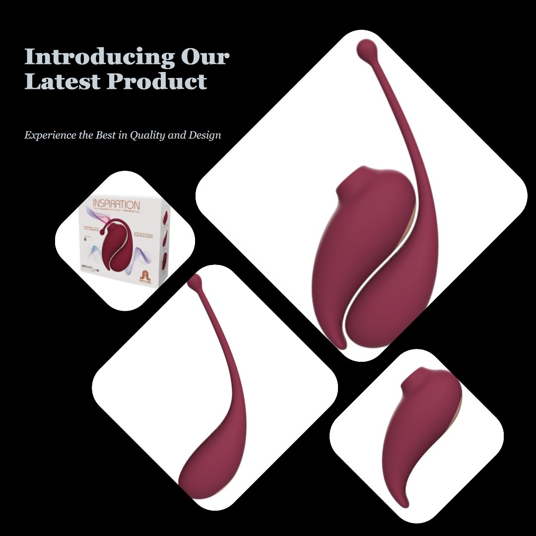 Adrien Lastic Inspiration Clitoral Suction Stimulator and Vibrating Egg - Allure Adornments